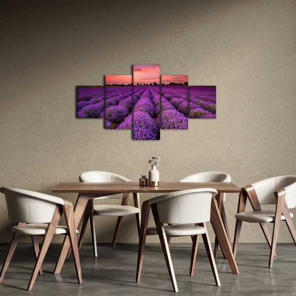 Obraz - Levandulové pole (125x70 cm)