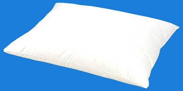 Péřový polštář 40/40 cm - 25% prachu