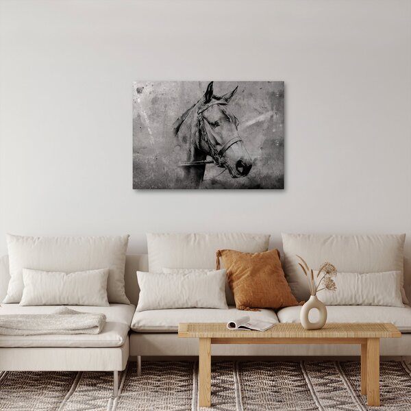Obraz - Portrét koně (70x50 cm)