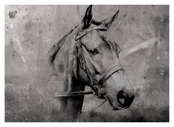 Obraz - Portrét koně (70x50 cm)