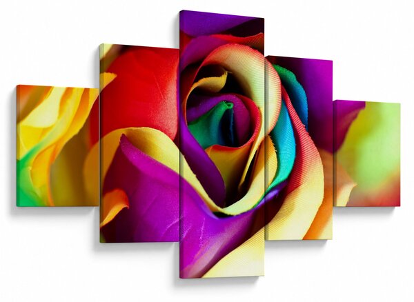 Obraz - Barevná růže (125x70 cm)