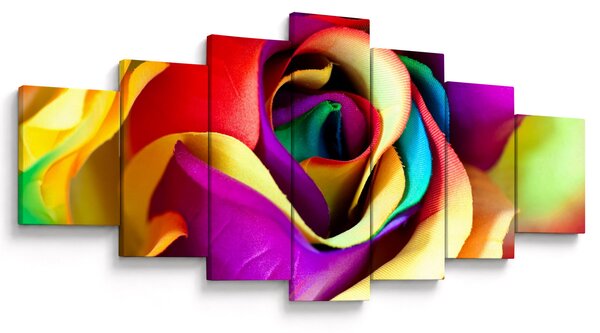 Obraz - Barevná růže (210x100 cm)
