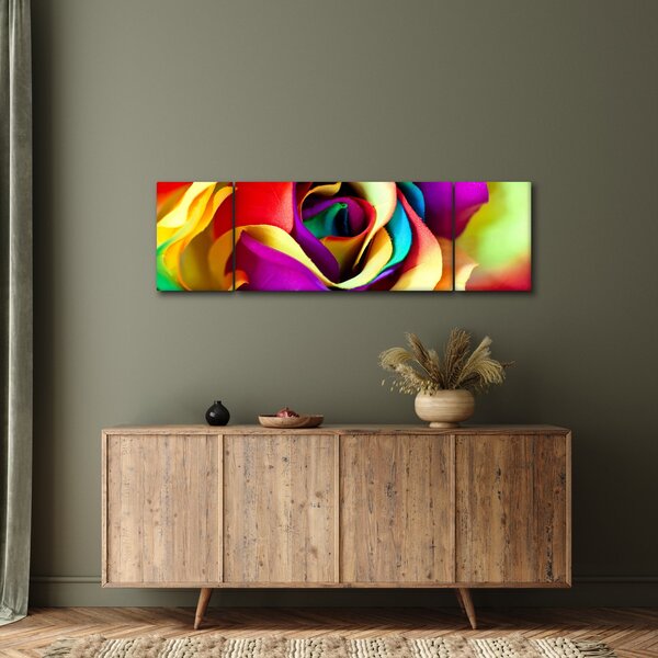 Obraz - Barevná růže (170x50 cm)