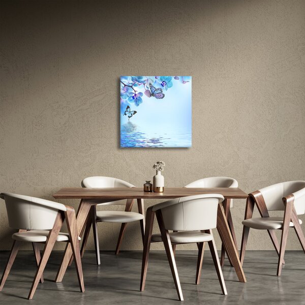 Obraz - Motýl na květech orchideje, modrý (30x30 cm)