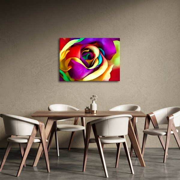 Obraz - Barevná růže (70x50 cm)