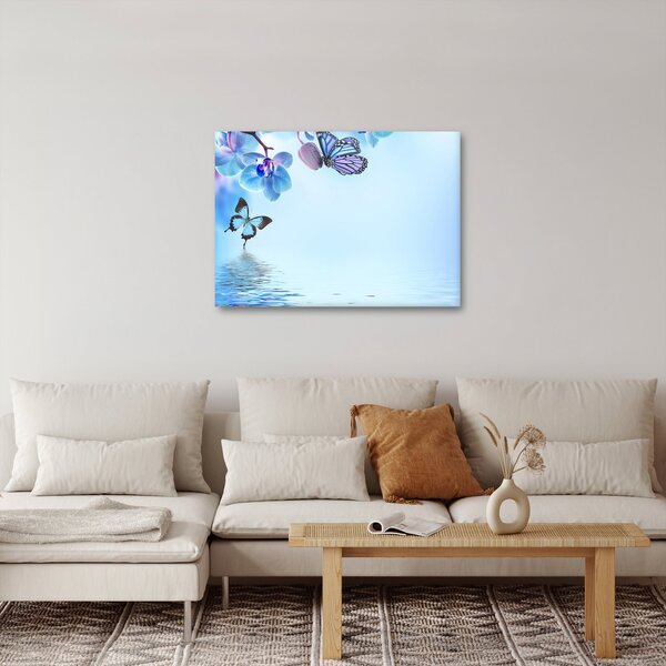 Obraz - Motýl na květech orchideje, modrý (70x50 cm)