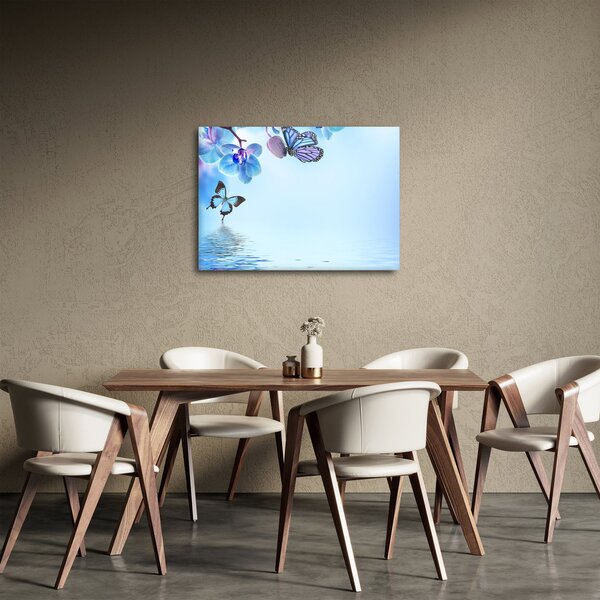 Obraz - Motýl na květech orchideje, modrý (70x50 cm)