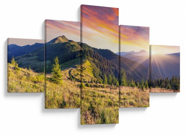 Obraz - Lesní krajina (125x70 cm)