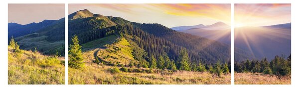 Obraz - Lesní krajina (170x50 cm)