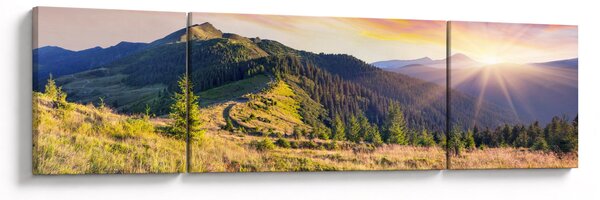 Obraz - Lesní krajina (170x50 cm)