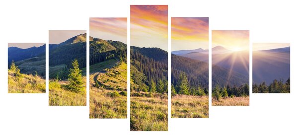 Obraz - Lesní krajina (210x100 cm)