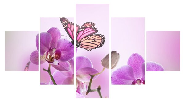 Obraz - Motýl na květech orchideje, lila (125x70 cm)