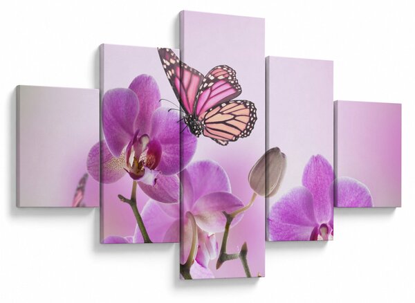 Obraz - Motýl na květech orchideje, lila (125x70 cm)