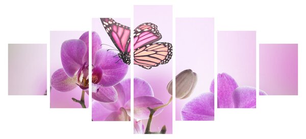 Obraz - Motýl na květech orchideje, lila (210x100 cm)