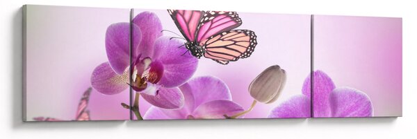 Obraz - Motýl na květech orchideje, lila (170x50 cm)