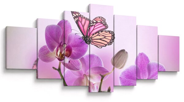 Obraz - Motýl na květech orchideje, lila (210x100 cm)