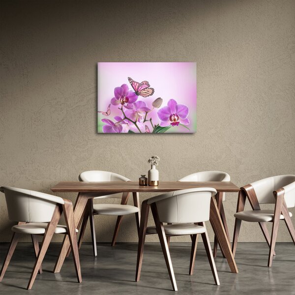 Obraz - Motýl na květech orchideje, lila (70x50 cm)