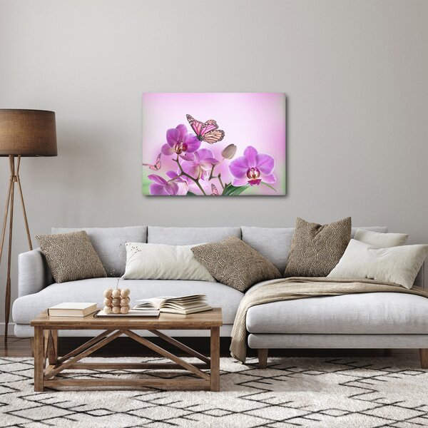Obraz - Motýl na květech orchideje, lila (70x50 cm)