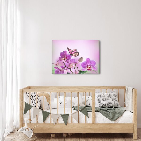 Obraz - Motýl na květech orchideje, lila (70x50 cm)