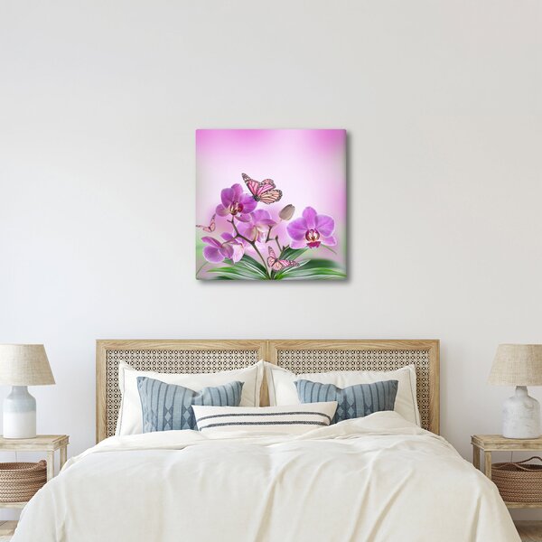 Obraz - Motýl na květech orchideje, lila (30x30 cm)