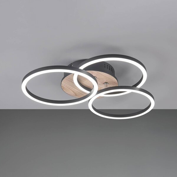 Reality Leuchten LED stropní světlo Circle 3 zdroje ovladač dřevo, stmívatelný, Světlé dřevo, Obývací pokoj / jídelna, Dřevo, Moderní