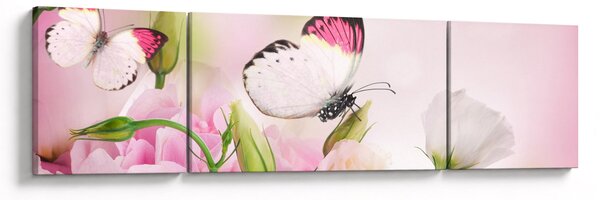 Obraz - Motýl (170x50 cm)