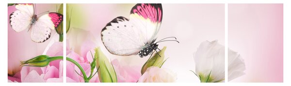 Obraz - Motýl (170x50 cm)