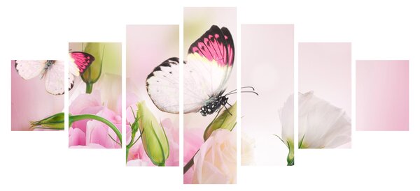 Obraz - Motýl (210x100 cm)