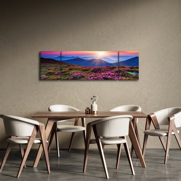 Obraz - Horská rozkvetlá krajina (170x50 cm)