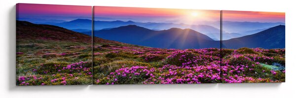 Obraz - Horská rozkvetlá krajina (170x50 cm)