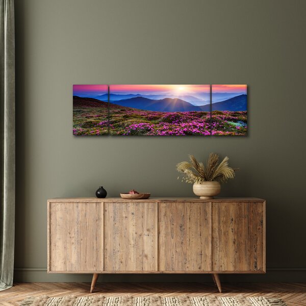 Obraz - Horská rozkvetlá krajina (170x50 cm)