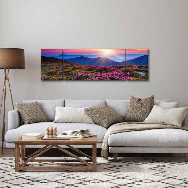 Obraz - Horská rozkvetlá krajina (170x50 cm)