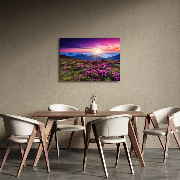 Obraz - Horská rozkvetlá krajina (70x50 cm)