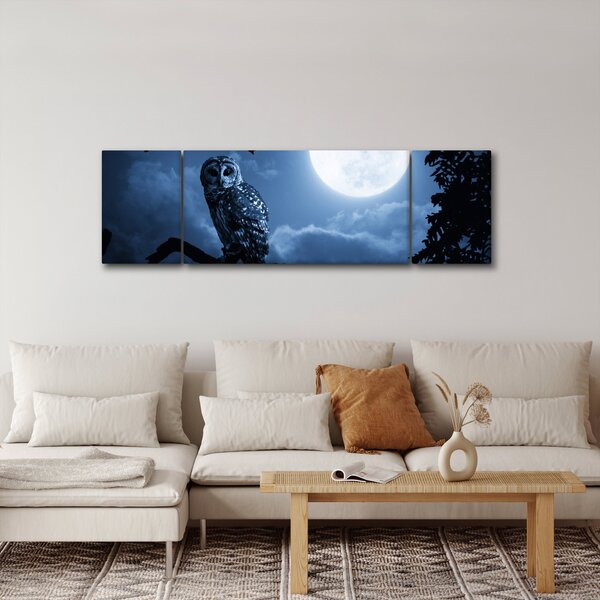 Obraz - Noční sova (170x50 cm)