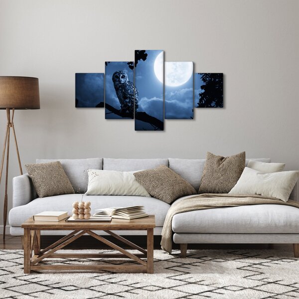 Obraz - Noční sova (125x70 cm)