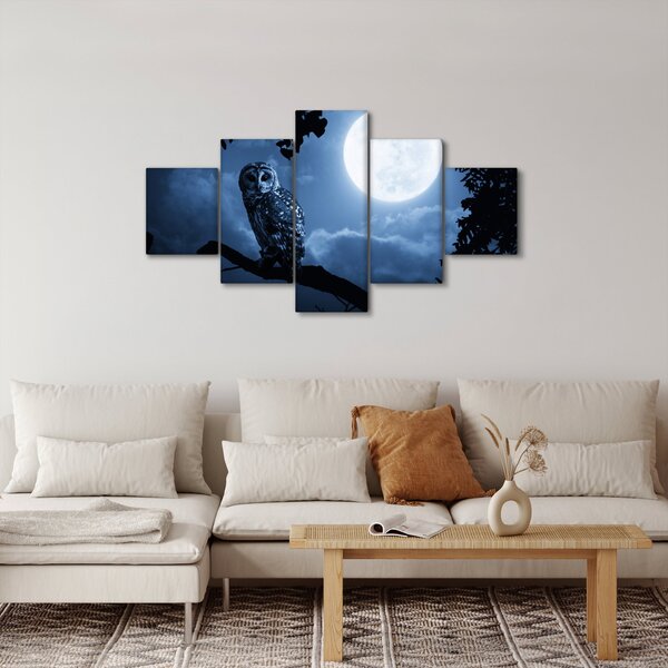 Obraz - Noční sova (125x70 cm)