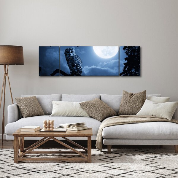 Obraz - Noční sova (170x50 cm)