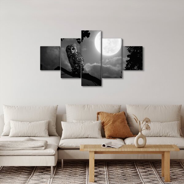 Obraz - Noční sova, černobílá (125x70 cm)