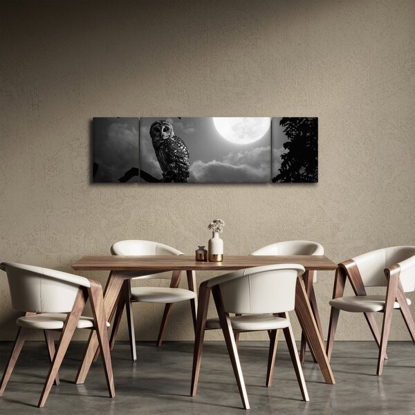 Obraz - Noční sova, černobílá (170x50 cm)