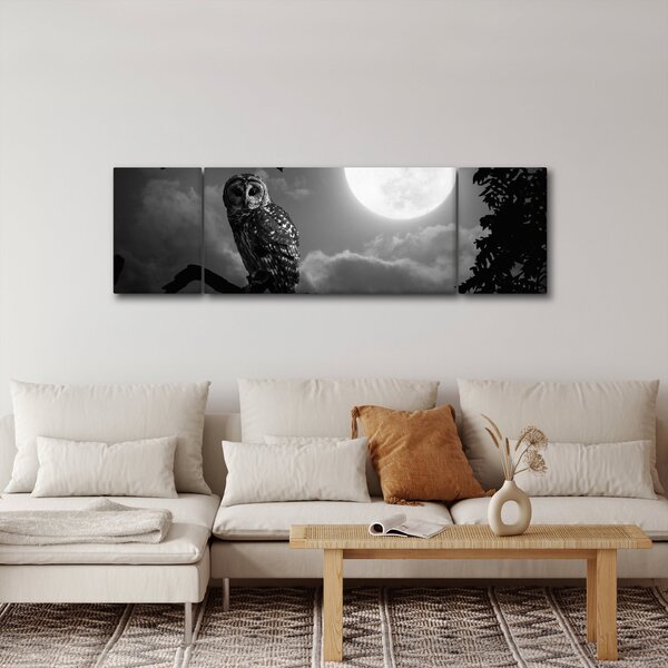 Obraz - Noční sova, černobílá (170x50 cm)