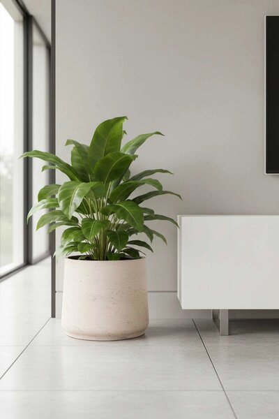 Květináč TROPICO, sklolaminát, výška 38 cm, béžová