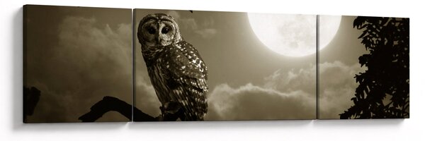 Obraz - Noční sova, zlatá (170x50 cm)