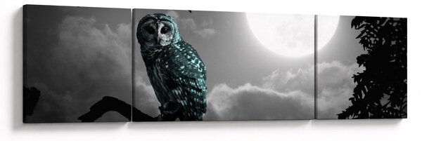 Obraz - Noční sova, modrá (170x50 cm)