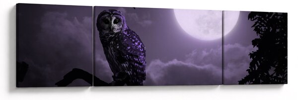 Obraz - Noční sova, fialová (170x50 cm)