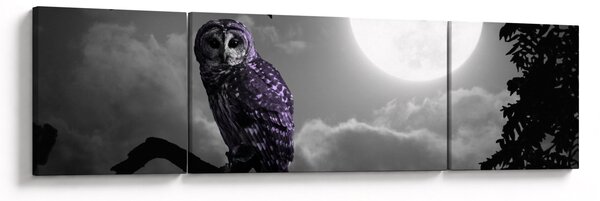 Obraz - Noční sova, fialová sova (170x50 cm)