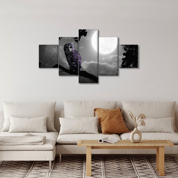 Obraz - Noční sova, fialová sova (125x70 cm)