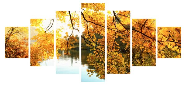 Obraz - Podzimní strom (210x100 cm)
