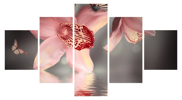 Obraz - Květy a motýl (125x70 cm)