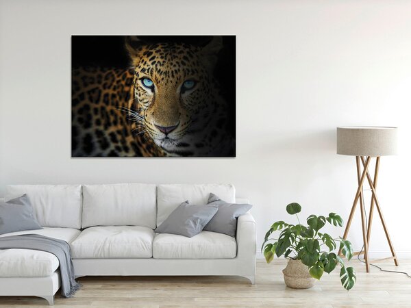 MALBA NA PLÁTNĚ, zvířata, 135/100 cm Euroart - Obrazy na plátně