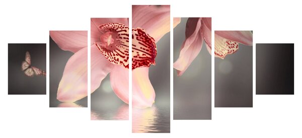 Obraz - Květy a motýl (210x100 cm)